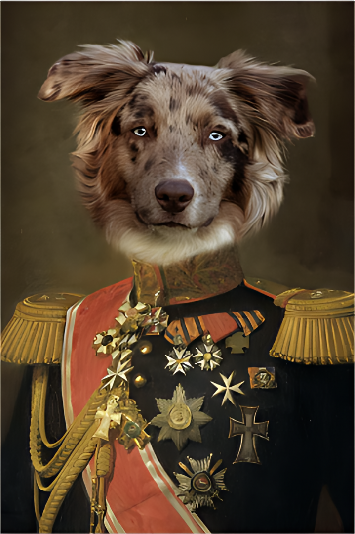 Pro 1 mazlíčka 🐶